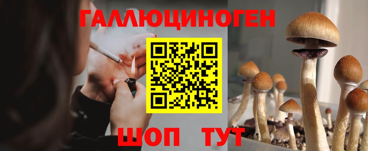 Новоалтайск  Галлюциногенные грибы Magic Shrooms  Галлюциногенные грибы прущие грибы  Вход с VPN 